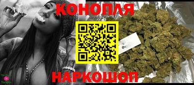 гашик Аргун