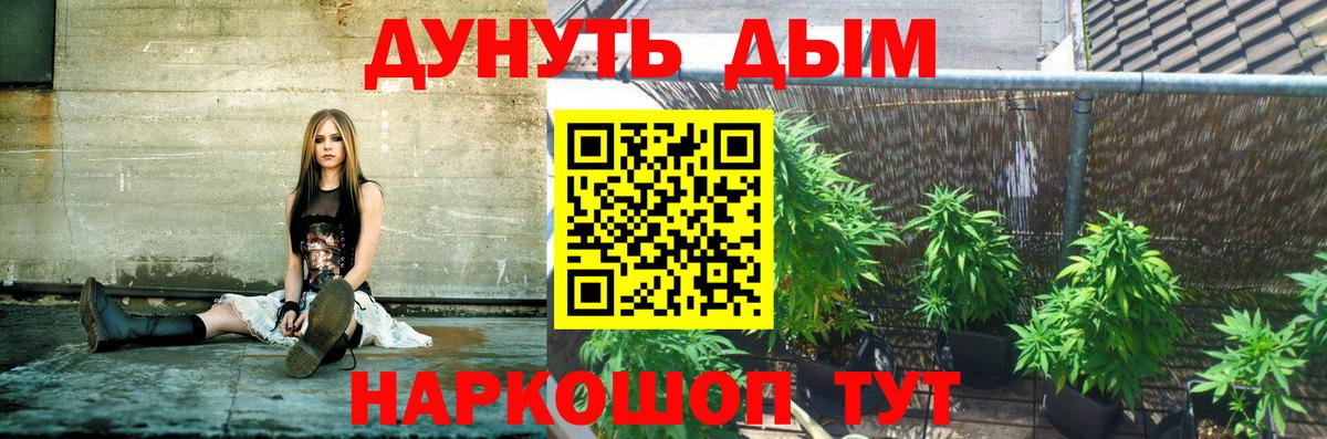 Шишки марихуана MAZAR  Марихуана конопля  Канабис сатива  Батайск  Вход с VPN 